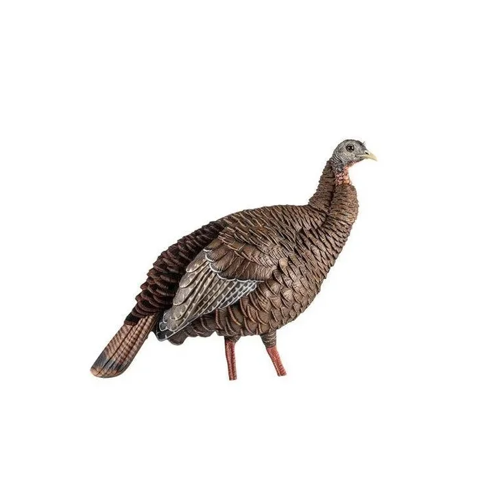Avian-X Decoy HDR Hen Turkey