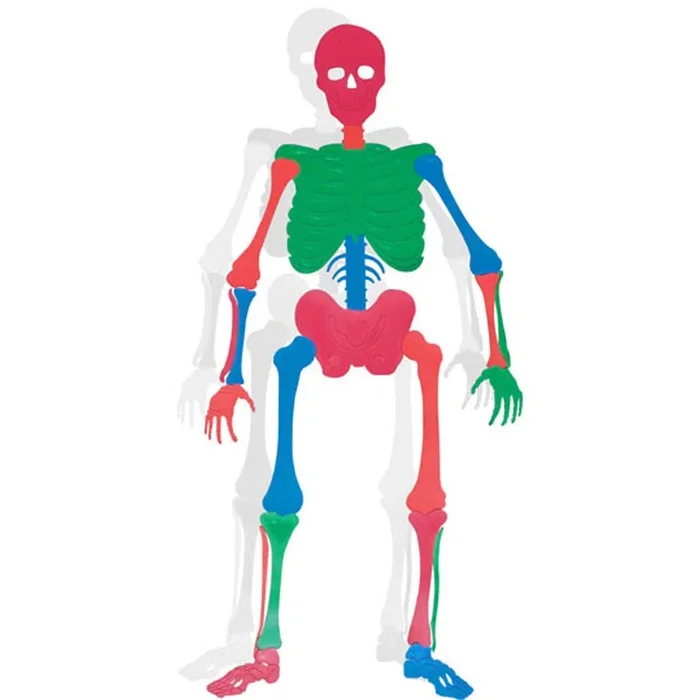 Bones Skeleton Educational Poly Floor Puzzle Set