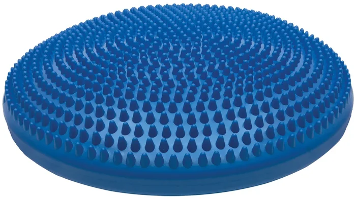 Champion Sports 14 Inch Exercise Disc