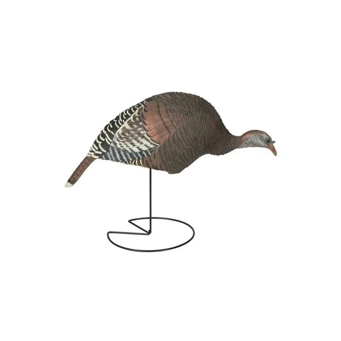 Greenhead Gear Feeding Hen Eastern